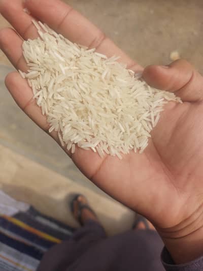 pure rice kinat 50 kg