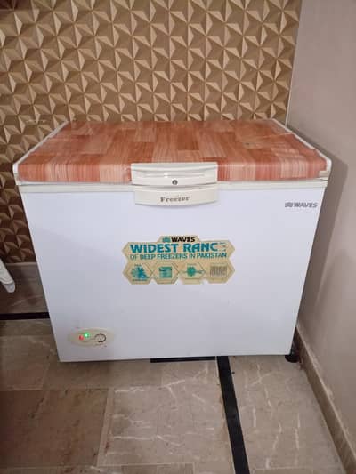 WAVES Single Door Deep freezer