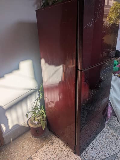 Glass Door Medium Size