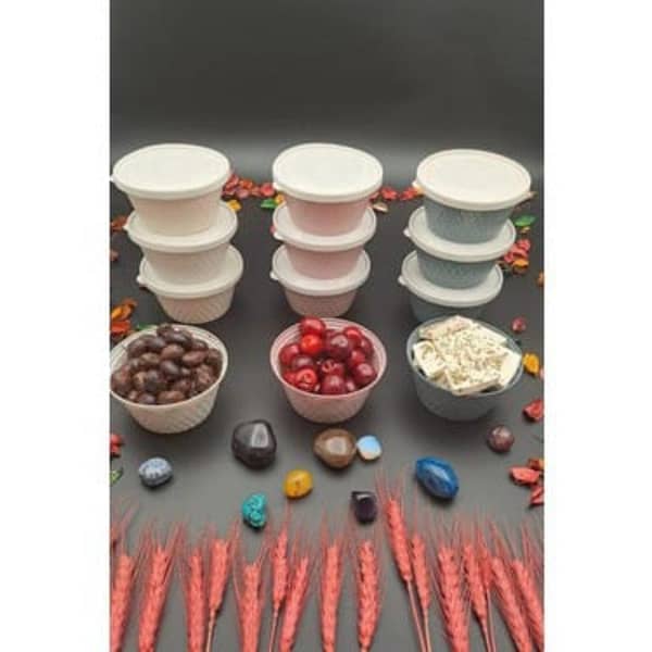 ZIDELLO 3-Piece Airtight Bowl Set – Leak-Proof, Durable, and Versatile Food Storage Solution