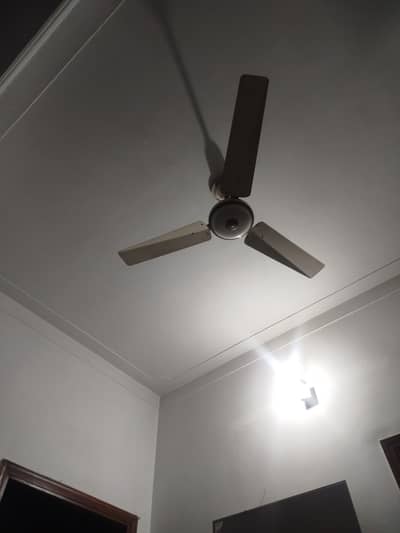 Celling fans