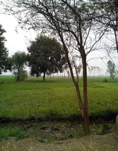 4 Acres Agriculture Land for Sale