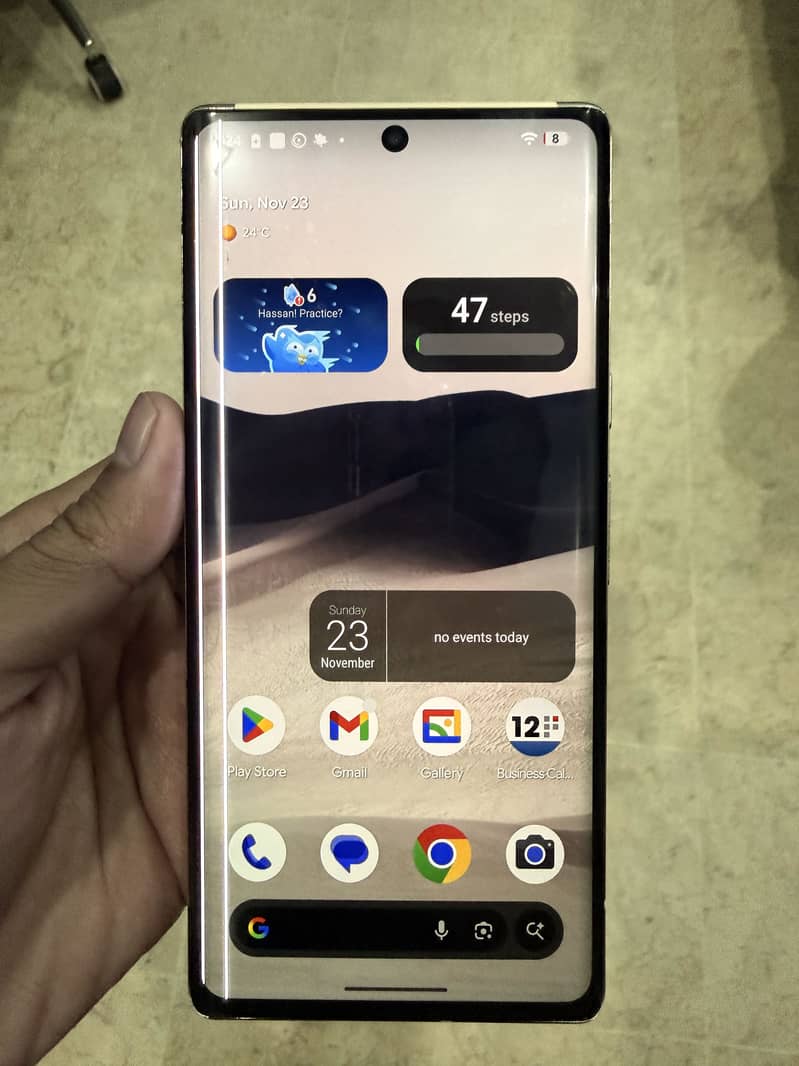 Google pixel 6 pro 2