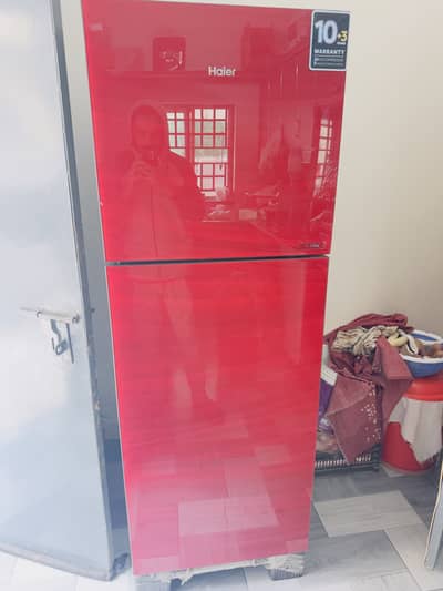 Haier HRF 336 EPR Estar