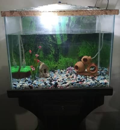 Aquarium & Fish Tank For Sale