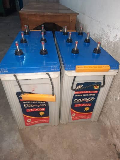 Phoenix Battery . Tx. 3000