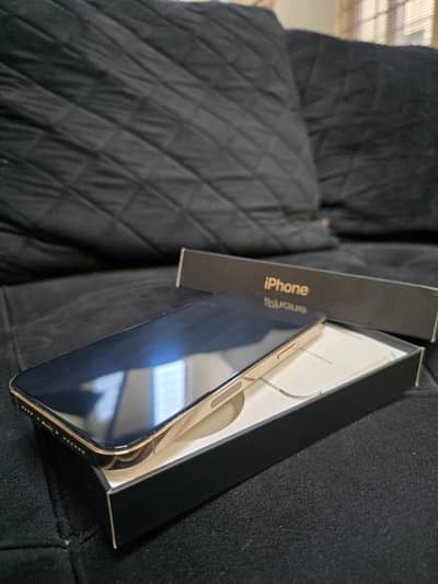 Apple 12 Pro Max Totally Genuine 10/10