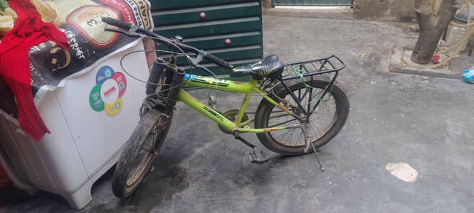 cycle for  above 8 o years