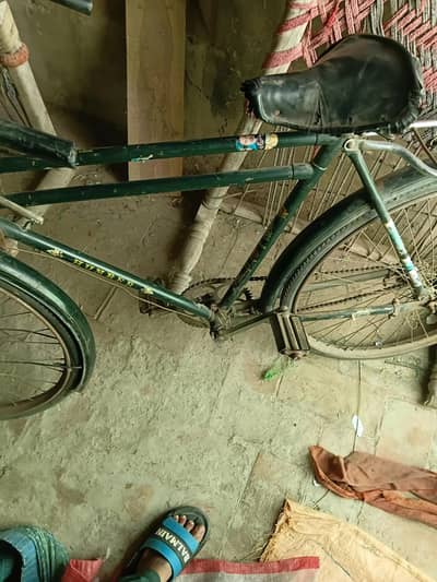 Bicycle for sale