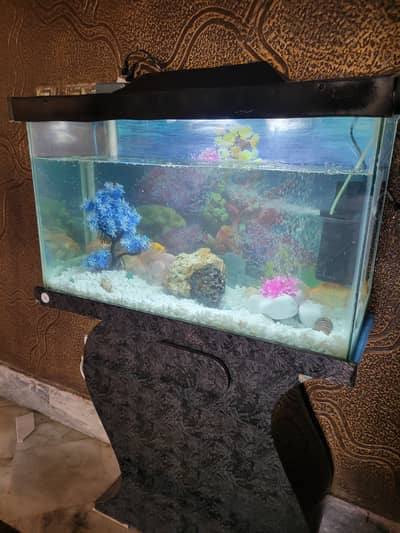 2.5ft Fish Aquarium with all accessories