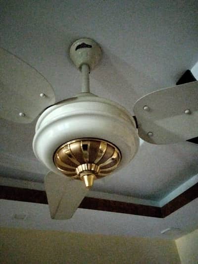 fans ceiling