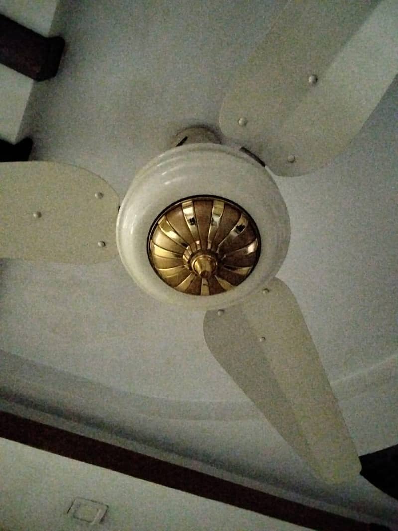 fans ceiling 1