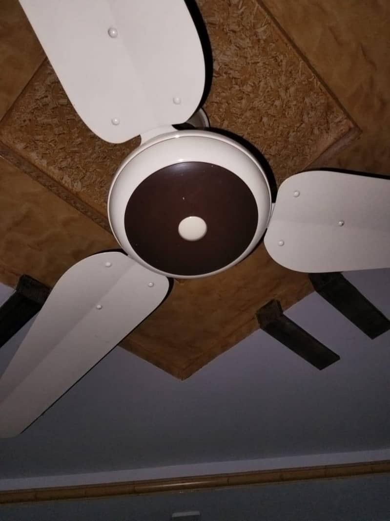 fans ceiling 2