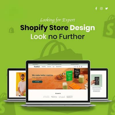Professional Shopify Ecommerce Store Development | Website Development