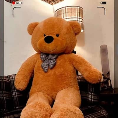 Teddy Bear #Imported teddy#Gaint teddy#Gifts#03254187063