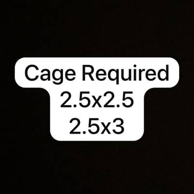 Cage Required