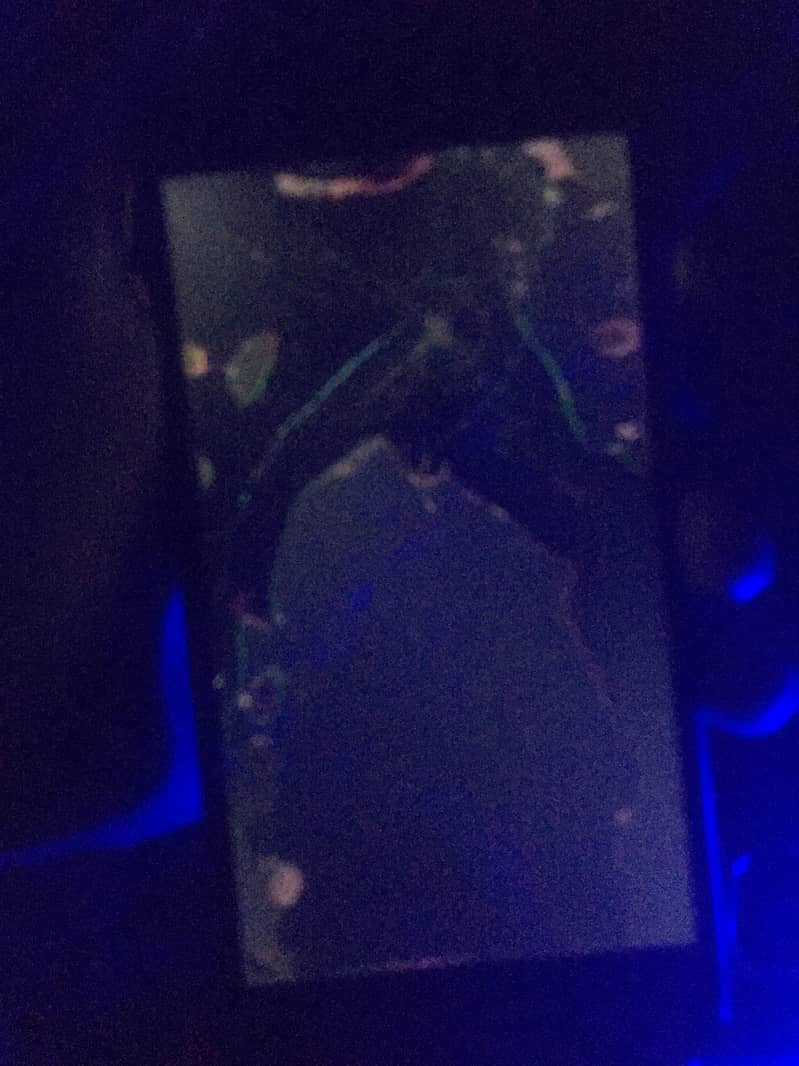 iPhone 6 screen damage 4