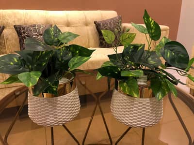 Urgent sale 2 Artificial plants available read description carefully