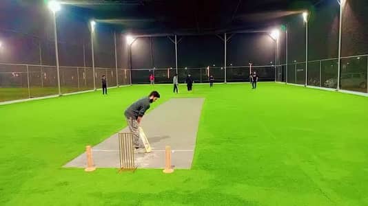 Artificial Grass/Pedal Truff/Cricket Gro/Sport nets/Artificial Plants