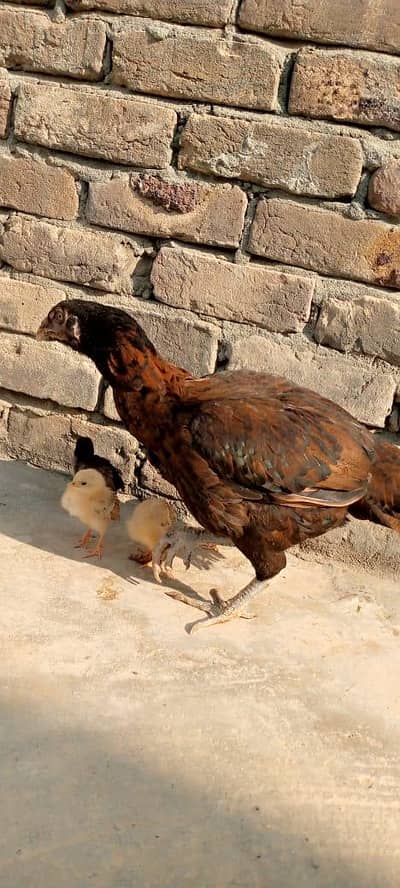 char bacche Hain iske sath