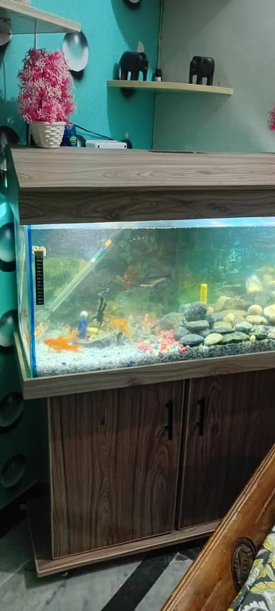 aquarium and fish all setup for salle size 3ft 1.5ft 1ft