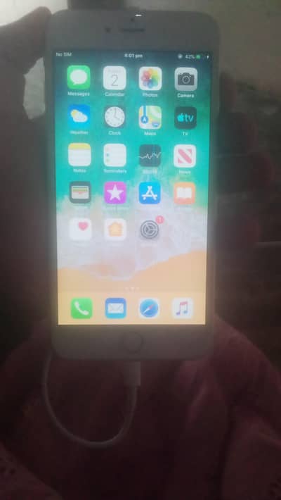 10/10 lush condition