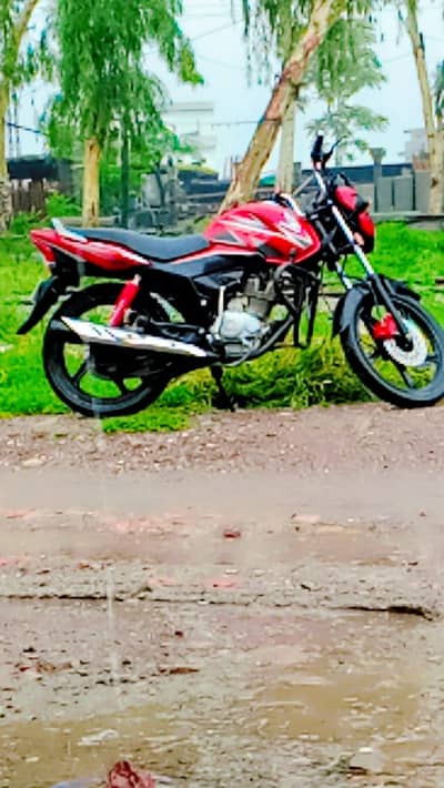 Honda | CB 150F | Model  2019 | *03000099345* |