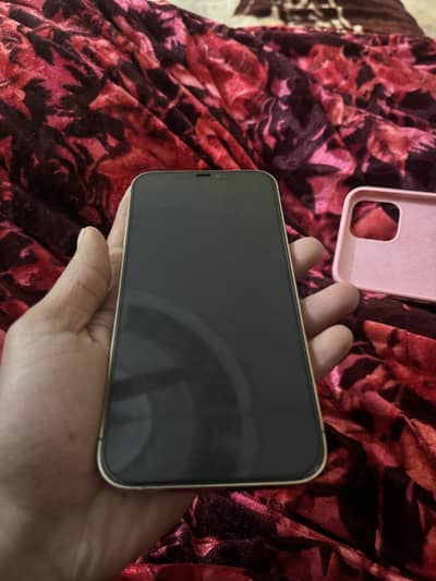 Iphone 12 pro max 256gb