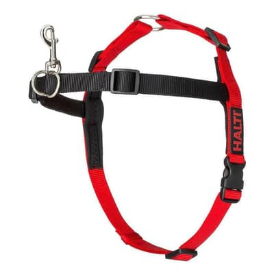 Harness Control Belt & Good Bowl