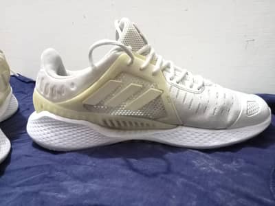 CLIMACOOL Sports / Running Shoes –Comfortable & Lightweight  Wash able