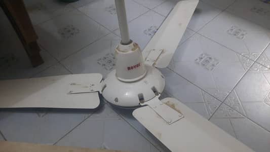 Royal and pak fans in good condition