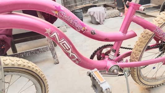 genuine bicycle 032126two7585