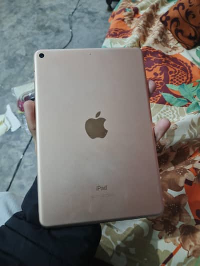 Ipad mint 5th generation LLA modal
