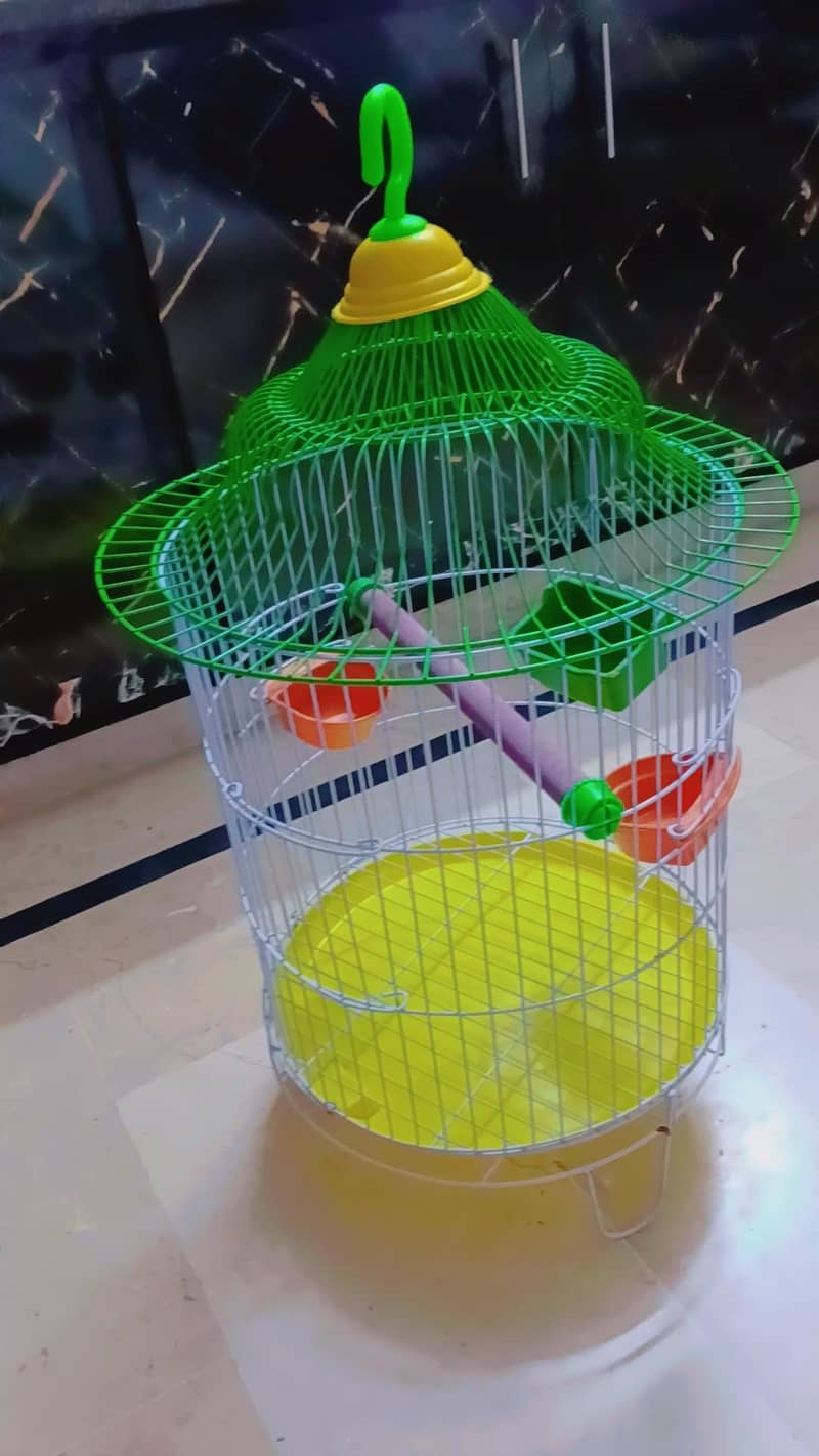 New cage 1