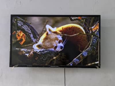 changing ruba 40inch