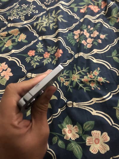 IPhone 13 Pro Max pta approved