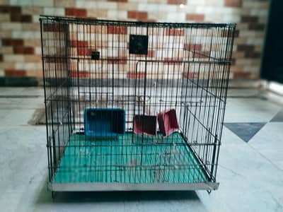 Birds Cage