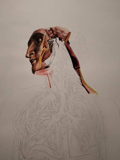 Fine Art Colour Pencil Sketch – Smooth Blending & Detail