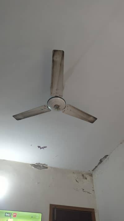 ceiling fan for sale