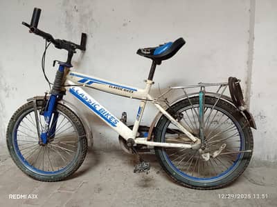 22 size cycle 03054415437