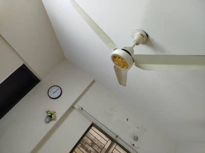 Royal AC / DC Inverter Fan with Remote