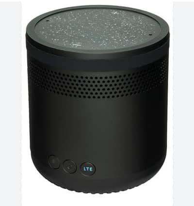 Alexa Smart Speaker.