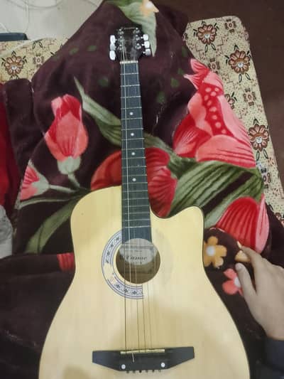 Casme beginner guitar