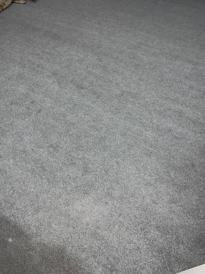 Carpet (Grey Colour)