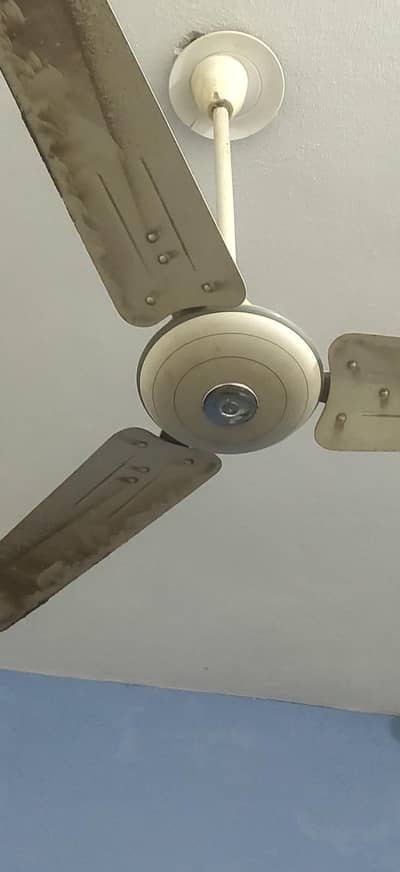 Two AC and Four' Fans'