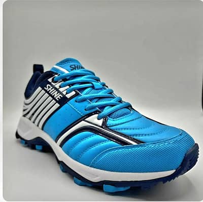 Shine cricket shoes