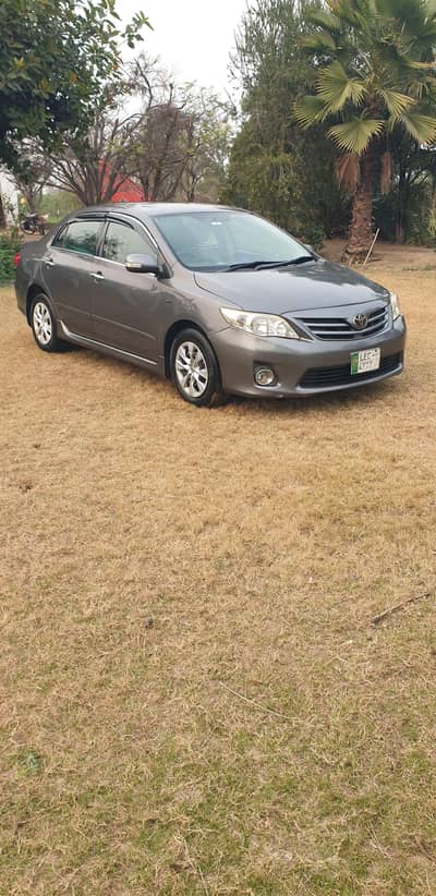 GLI 2011 New Lights / 03010278282