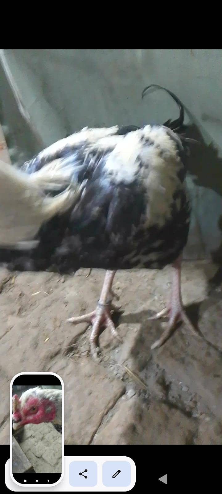 فوری فروخت 0