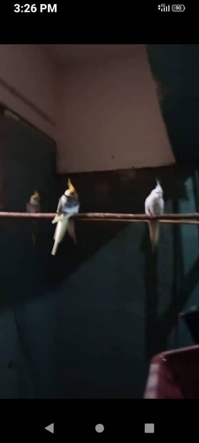 sare ek sath sale karne ha sare active ha