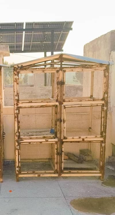chicken cage